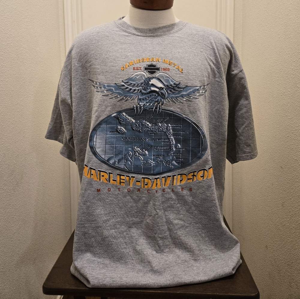 Harley-Davidson t-shirt, gray, size: XL